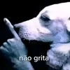 yurizx._