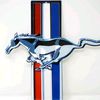 oxford_white_pony