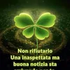 roberto.avers
