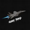 murkytripod2432