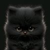 lee._.zixuan