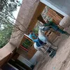 azhir26