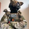 medicvedmedic