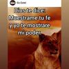 manuelmarquez8891