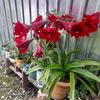 agdam_02_00