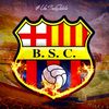 bsc_17