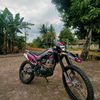 mujapepes