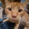 0blep0