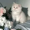 r__roro80