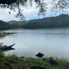 ahysn10