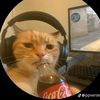 sher04_84