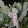 amandabilqis2312
