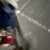 mrrr297