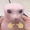 trungkienk64