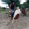 a.edson02