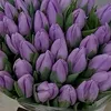 soso_n170