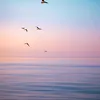 kim.thuy1410
