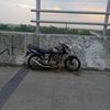 satwa_liar03