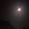 ngan_le990