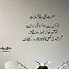 hasssa348