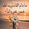 rimaal50