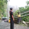 wahyudizudi