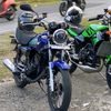 kingbiru330