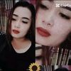 shellichici27