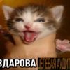 canya_beton