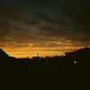 anas_tazia1