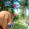 shimlaislam38