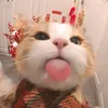 dinhduy