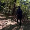 krishalshrestha35