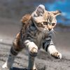 pennychen8723
