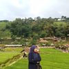 _taurusme05