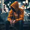 tanhaipassand58