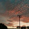 random_.by