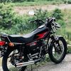 jambret29n