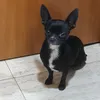pixelrey1