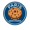 parisminecookye