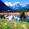 mohamed.mohamed2177