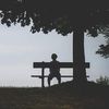 ivan_chen0