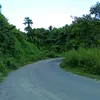 tartunaung007
