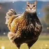 嗯Informejtyk它