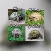 𝑲𝒊𝒍𝒑𝒊𝒌𝒐𝒏𝒏𝒂𝒕🐢