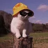 it_hecttor