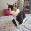 bex212121