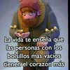 carelocha.0