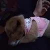 tbao_z