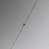 ylfar02